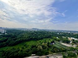 Pinetree Hill (D21), Condominium #581298381